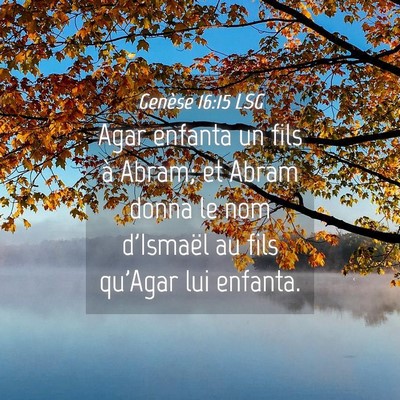 Picture 04 - Genèse 16:15 LSG - Agar enfanta un fils à Abram; et Abram donna le - Bible Verse Picture
