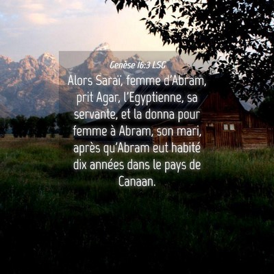 Picture 04 - Genèse 16:3 LSG - Alors Saraï, femme d'Abram, prit Agar, - Bible Verse Picture