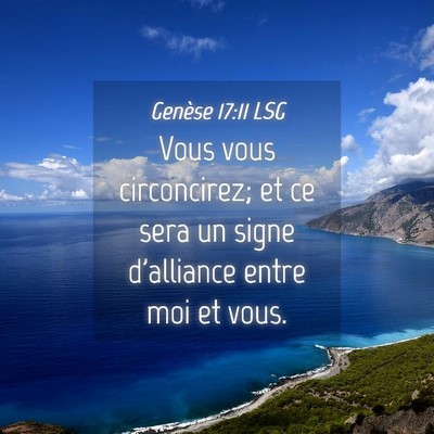 Picture 04 - Genèse 17:11 LSG - Vous vous circoncirez; et ce sera un signe - Bible Verse Picture