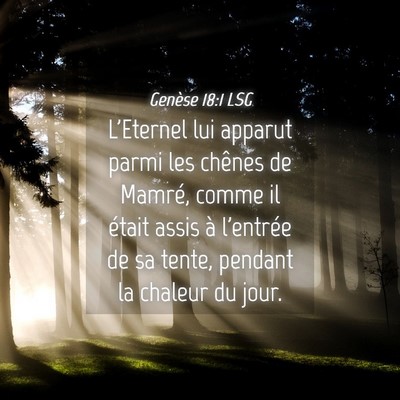 Picture 04 - Genèse 18:1 LSG - L'Eternel lui apparut parmi les chênes de - Bible Verse Picture