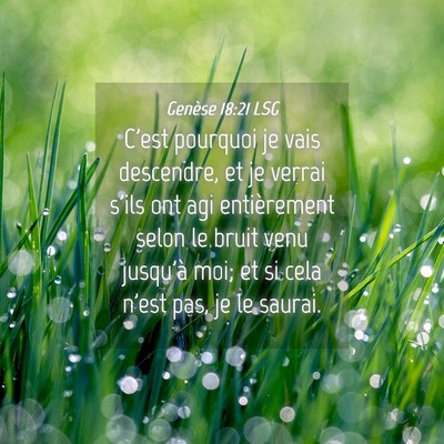 Picture 04 - Genèse 18:21 LSG - C'est pourquoi je vais descendre, et je verrai - Bible Verse Picture