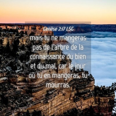 Picture 04 - Genèse 2:17 LSG - mais tu ne mangeras pas de l'arbre de la - Bible Verse Picture