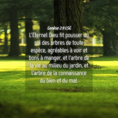 Picture 04 - Genèse 2:9 LSG - L'Eternel Dieu fit pousser du sol des arbres de - Bible Verse Picture