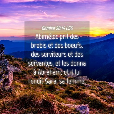 Picture 04 - Genèse 20:14 LSG - Abimélec prit des brebis et des boeufs, des - Bible Verse Picture