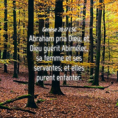 Picture 04 - Genèse 20:17 LSG - Abraham pria Dieu, et Dieu guérit Abimélec, sa - Bible Verse Picture