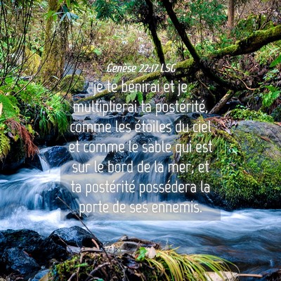 Picture 04 - Genèse 22:17 LSG - je te bénirai et je multiplierai ta postérité, - Bible Verse Picture