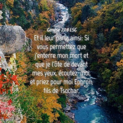 Picture 04 - Genèse 23:8 LSG - Et il leur parla ainsi: Si vous permettez que - Bible Verse Picture