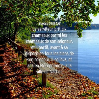Picture 04 - Genèse 24:10 LSG - Le serviteur prit dix chameaux parmi les chameaux - Bible Verse Picture