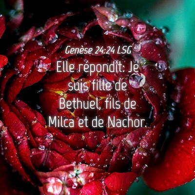 Picture 04 - Genèse 24:24 LSG - Elle répondit: Je suis fille de Bethuel, fils de - Bible Verse Picture