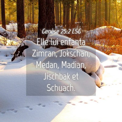 Picture 04 - Genèse 25:2 LSG - Elle lui enfanta Zimran, Jokschan, Medan, Madian, - Bible Verse Picture