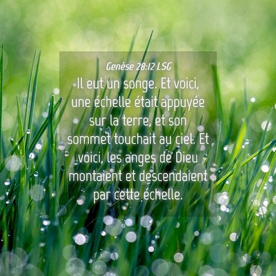 Picture 04 - Genèse 28:12 LSG - Il eut un songe. Et voici, une échelle était - Bible Verse Picture