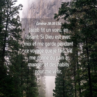 Picture 04 - Genèse 28:20 LSG - Jacob fit un voeu, en disant: Si Dieu est avec - Bible Verse Picture