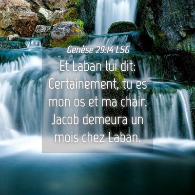 Picture 04 - Genèse 29:14 LSG - Et Laban lui dit: Certainement, tu es mon os et - Bible Verse Picture