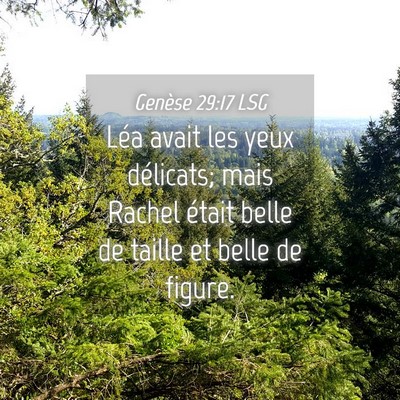 Picture 04 - Genèse 29:17 LSG - Léa avait les yeux délicats; mais Rachel était - Bible Verse Picture