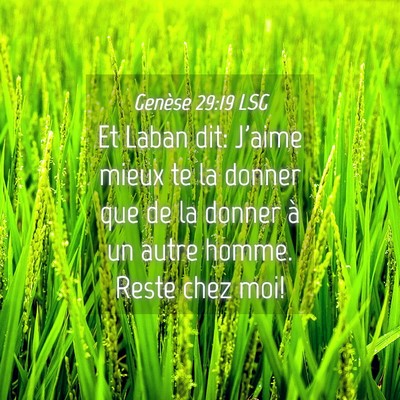 Picture 04 - Genèse 29:19 LSG - Et Laban dit: J'aime mieux te la donner que de la - Bible Verse Picture