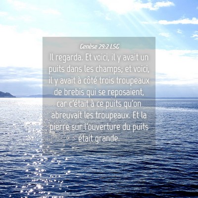 Picture 04 - Genèse 29:2 LSG - Il regarda. Et voici, il y avait un puits dans - Bible Verse Picture