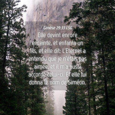 Picture 04 - Genèse 29:33 LSG - Elle devint encore enceinte, et enfanta un fils, - Bible Verse Picture
