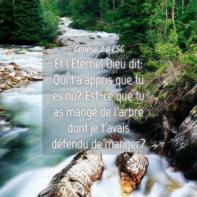 Picture 04 - Genèse 3:11 LSG - Et l'Eternel Dieu dit: Qui t'a appris que tu es - Bible Verse Picture