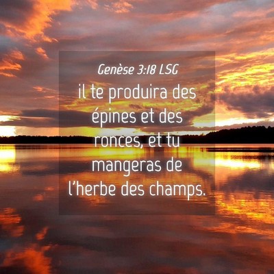Picture 04 - Genèse 3:18 LSG - il te produira des épines et des ronces, et tu - Bible Verse Picture