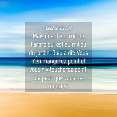 Picture 04 - Genèse 3:3 LSG - Mais quant au fruit de l'arbre qui est au milieu - Bible Verse Picture