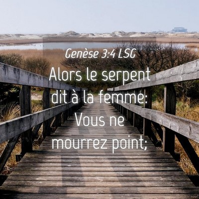 Picture 04 - Genèse 3:4 LSG - Alors le serpent dit à la femme: Vous ne mourrez - Bible Verse Picture