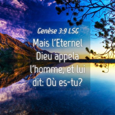 Picture 04 - Genèse 3:9 LSG - Mais l'Eternel Dieu appela l'homme, et lui dit: - Bible Verse Picture