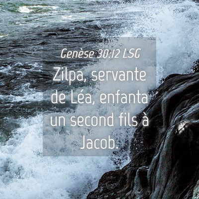 Picture 04 - Genèse 30:12 LSG - Zilpa, servante de Léa, enfanta un second fils - Bible Verse Picture