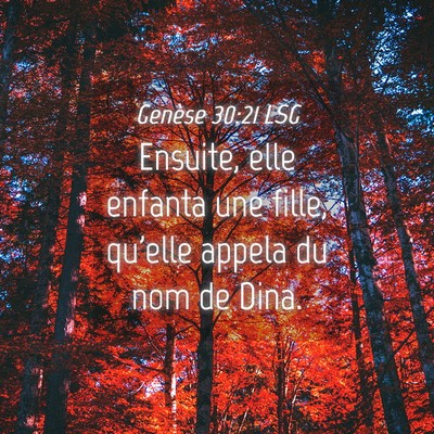 Picture 04 - Genèse 30:21 LSG - Ensuite, elle enfanta une fille, qu'elle appela - Bible Verse Picture