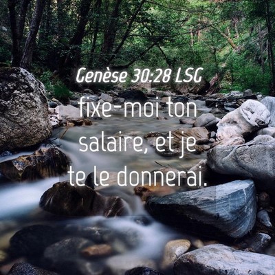 Picture 04 - Genèse 30:28 LSG - fixe-moi ton salaire, et je te le - Bible Verse Picture