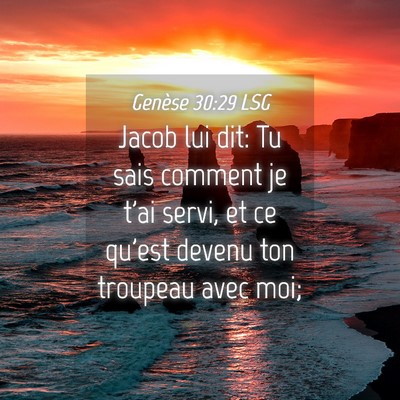 Picture 04 - Genèse 30:29 LSG - Jacob lui dit: Tu sais comment je t'ai servi, et - Bible Verse Picture