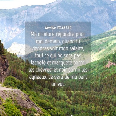 Picture 04 - Genèse 30:33 LSG - Ma droiture répondra pour moi demain, quand tu - Bible Verse Picture
