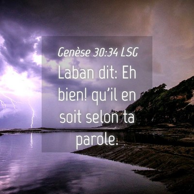 Picture 04 - Genèse 30:34 LSG - Laban dit: Eh bien! qu'il en soit selon ta - Bible Verse Picture