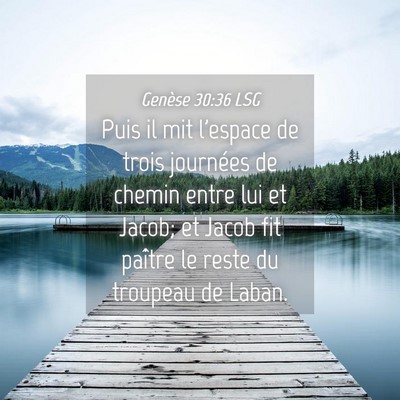 Picture 04 - Genèse 30:36 LSG - Puis il mit l'espace de trois journées de chemin - Bible Verse Picture