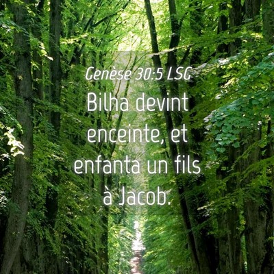 Picture 04 - Genèse 30:5 LSG - Bilha devint enceinte, et enfanta un fils à - Bible Verse Picture