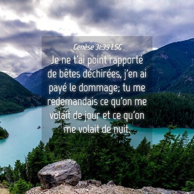 Picture 04 - Genèse 31:39 LSG - Je ne t'ai point rapporté de bêtes déchirées, - Bible Verse Picture