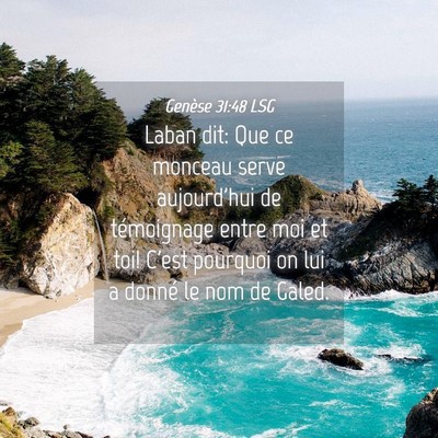 Picture 04 - Genèse 31:48 LSG - Laban dit: Que ce monceau serve aujourd'hui de - Bible Verse Picture