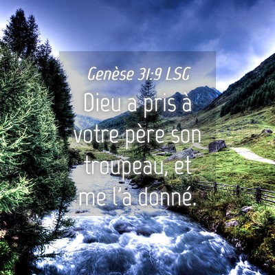 Picture 04 - Genèse 31:9 LSG - Dieu a pris à votre père son troupeau, et me - Bible Verse Picture