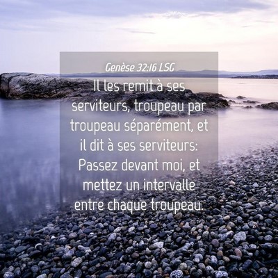 Picture 04 - Genèse 32:16 LSG - Il les remit à ses serviteurs, troupeau par - Bible Verse Picture