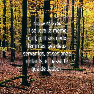 Picture 04 - Genèse 32:22 LSG - Il se leva la même nuit, prit ses deux femmes, - Bible Verse Picture