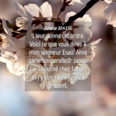 Picture 04 - Genèse 32:4 LSG - Il leur donna cet ordre: Voici ce que vous direz - Bible Verse Picture