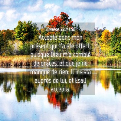 Picture 04 - Genèse 33:11 LSG - Accepte donc mon présent qui t'a été offert, - Bible Verse Picture