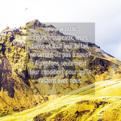 Picture 04 - Genèse 34:23 LSG - Leurs troupeaux, leurs biens et tout leur - Bible Verse Picture