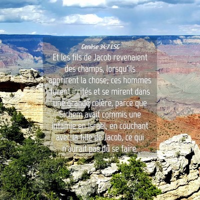 Picture 04 - Genèse 34:7 LSG - Et les fils de Jacob revenaient des champs, - Bible Verse Picture