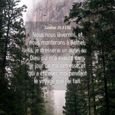 Picture 04 - Genèse 35:3 LSG - Nous nous lèverons, et nous monterons à - Bible Verse Picture