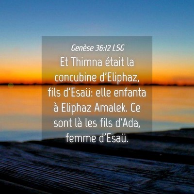 Picture 04 - Genèse 36:12 LSG - Et Thimna était la concubine d'Eliphaz, fils - Bible Verse Picture