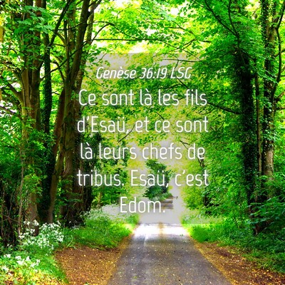 Picture 04 - Genèse 36:19 LSG - Ce sont là les fils d'Esaü, et ce sont là - Bible Verse Picture
