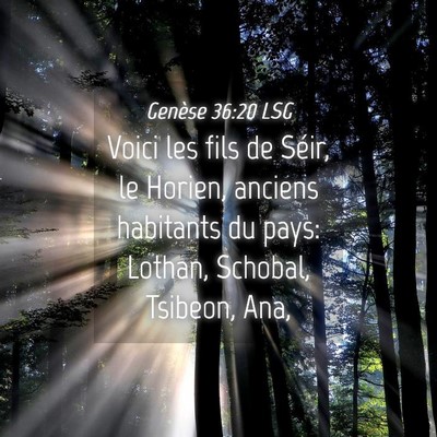 Picture 04 - Genèse 36:20 LSG - Voici les fils de Séir, le Horien, anciens - Bible Verse Picture