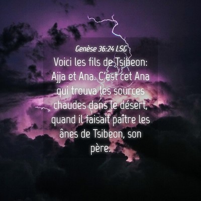 Picture 04 - Genèse 36:24 LSG - Voici les fils de Tsibeon: Ajja et Ana. C'est cet - Bible Verse Picture