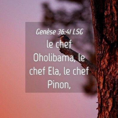 Picture 04 - Genèse 36:41 LSG - le chef Oholibama, le chef Ela, le chef - Bible Verse Picture
