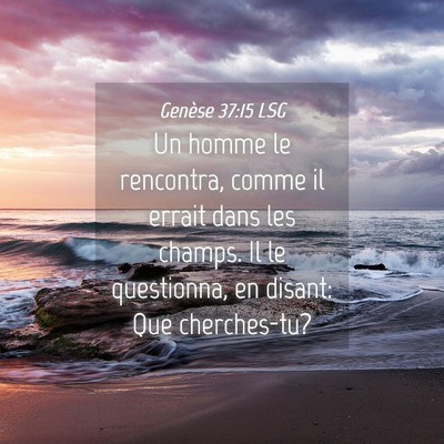 Picture 04 - Genèse 37:15 LSG - Un homme le rencontra, comme il errait dans les - Bible Verse Picture